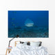 Large Bull Shark Bistro Head Wall Decal