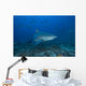 Large Bull Shark Bistro Front Right Wall Decal