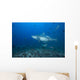 Large Bull Shark Bistro Turning Right Wall Decal
