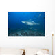 Large Bull Shark Bistro Turning Right Wall Decal