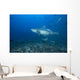 Large Bull Shark Bistro Turning Right Wall Decal