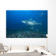 Large Bull Shark Bistro Turning Right Wall Decal