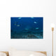 Large Bull Shark Bistro Distant Front Wall Decal