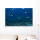 Large Bull Shark Bistro Distant Front Wall Decal
