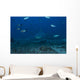 Large Bull Shark Bistro Distant Front Wall Decal