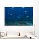 Large Bull Shark Bistro Distant Front Wall Decal