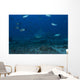 Large Bull Shark Bistro Distant Front Wall Decal