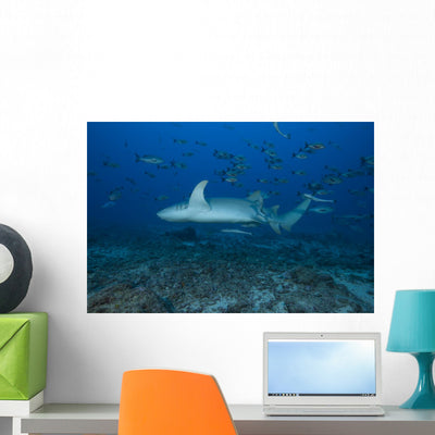 Large Tawny Nurse Shark with School of Fish Wall Decal shown on a wall