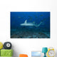Large Tawny Nurse Shark with School of Fish Wall Decal