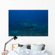 Large Bull Shark Bistro Distant Right Wall Decal