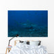 Large Bull Shark Bistro Distant Right Wall Decal