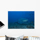 Large Bull Shark Bistro Right Profile Wall Decal