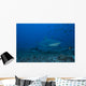 Large Bull Shark Bistro Right Profile Wall Decal
