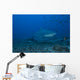 Large Bull Shark Bistro Right Profile Wall Decal