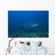 Large Bull Shark Bistro Right Profile Wall Decal