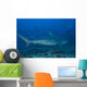 Large Bull Shark Bistro Mid-Right Wall Decal