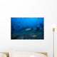 Large Tawny Nurse Shark with Divers Wall Decal