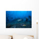 Large Tawny Nurse Shark with Divers Wall Decal