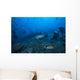 Large Tawny Nurse Shark with Divers Wall Decal