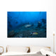 Large Tawny Nurse Shark with Divers Wall Decal
