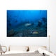Large Tawny Nurse Shark with Divers Wall Decal