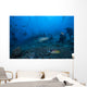 Large Tawny Nurse Shark with Divers Wall Decal