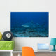 Large Bull Shark Bistro Blue Wall Decal