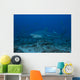 Large Bull Shark Bistro Blue Wall Decal