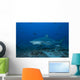 Large Bull Shark Bistro Front Left Wall Decal