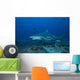 Large Bull Shark Bistro Front Left Wall Decal