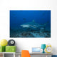 Large Bull Shark Bistro Front Left Wall Decal