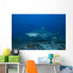 Large Bull Shark Bistro Front Left Wall Decal
