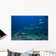 Large Bull Shark Bistro Distant Wall Decal