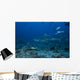 Large Bull Shark Bistro Distant Wall Decal