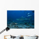 Large Bull Shark Bistro Distant Wall Decal