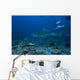 Large Bull Shark Bistro Distant Wall Decal