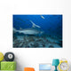 Large Bull Shark Bistro Back Right Wall Decal