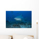 Large Bull Shark Bistro Profile Wall Decal