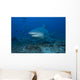 Large Bull Shark Bistro Profile Wall Decal