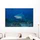 Large Bull Shark Bistro Profile Wall Decal