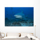 Large Bull Shark Bistro Profile Wall Decal