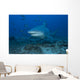 Large Bull Shark Bistro Profile Wall Decal
