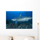 Large Bull Shark Bistro with School Wall Decal