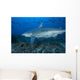 Large Bull Shark Bistro with School Wall Decal
