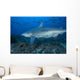 Large Bull Shark Bistro with School Wall Decal