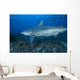 Large Bull Shark Bistro with School Wall Decal