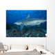 Large Bull Shark Bistro with School Wall Decal