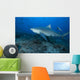 Large Bull Shark Bistro Left Wall Decal