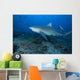 Large Bull Shark Bistro Left Wall Decal