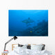 Silvertip Shark Bistro Dive Distant Wall Decal